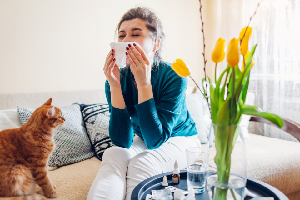 woman sneezing from pollen spring allergy