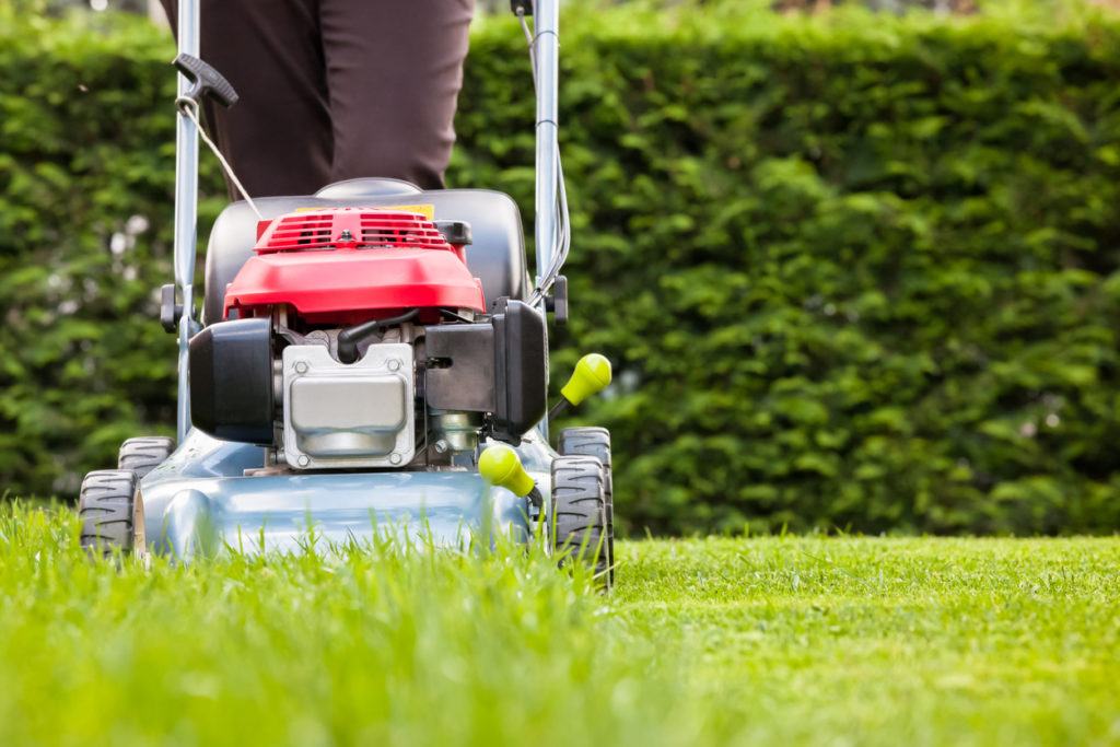 lawnmower on green grass